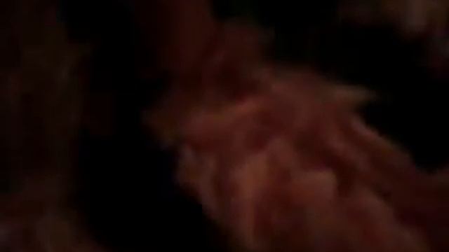 Тигр шоу #1 смотреть онлайн