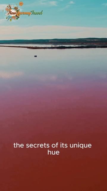 Lake Hillier: Australia's Pink Paradise! 🌸 #shorts #travel #reels смотреть онлайн