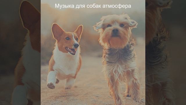 Моменты (Спящие собаки) смотреть онлайн