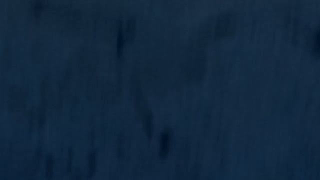 присяга мвд институт краснодар 2022(4)