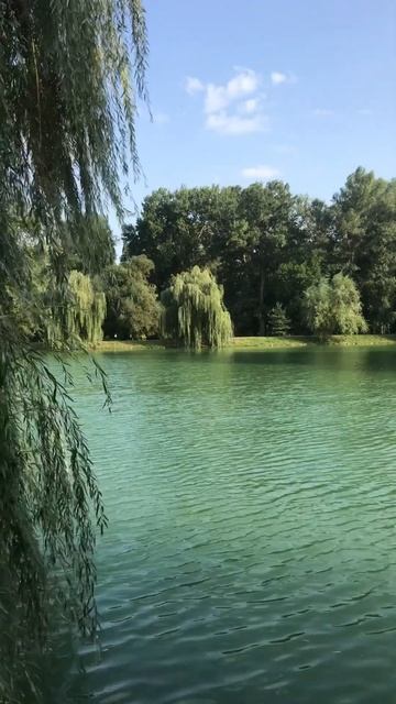 Кабардино Балкария замок Шато Эркен смотреть онлайн