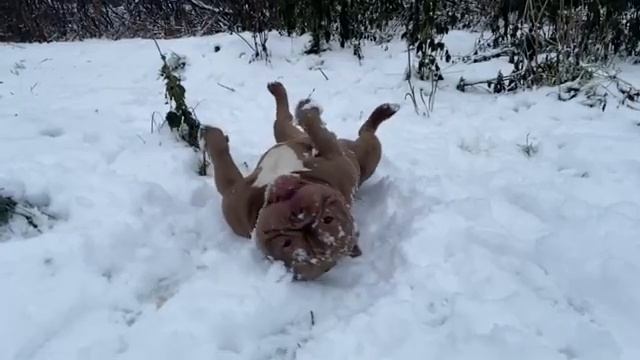 Кекс смотреть онлайн
