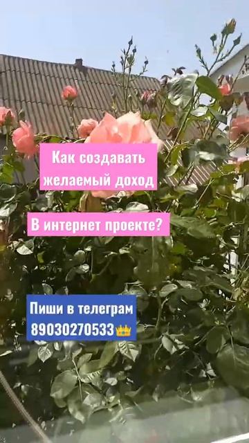 ☝✅💯🌴 смотреть онлайн