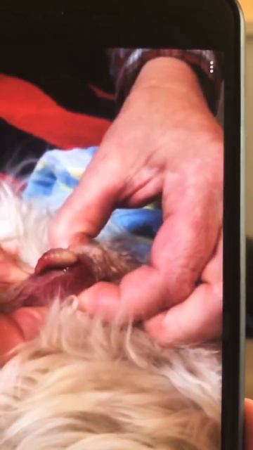 Dr. Pimple Popper ain’t got nuttin’ on me! смотреть онлайн