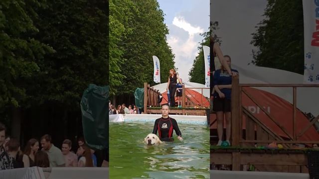 Petshop Days 2023 в Санкт-Петербурге. Док-дайвинг