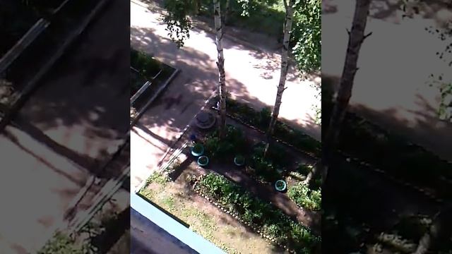 Второй раз кидали пакет с водой.