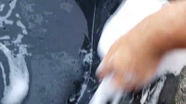 How to Set Up a Fish and Guppy Pond смотреть онлайн