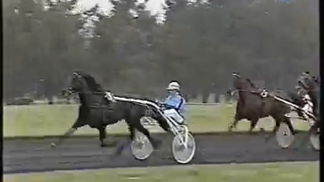 Prix de France 1993 - Sea Cove / Jos Verbeeck смотреть онлайн