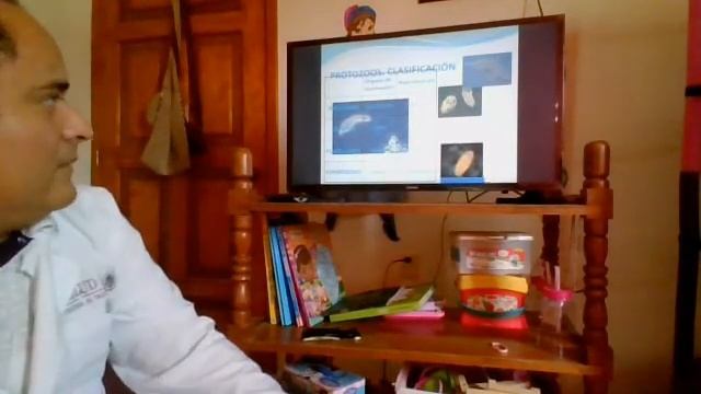 generalidades parasitologia смотреть онлайн