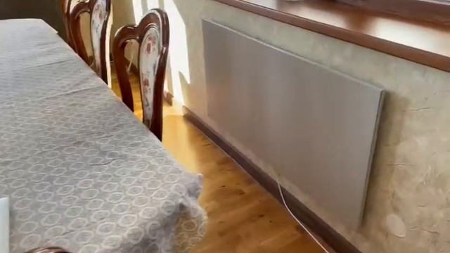 WhatsApp Video 2021 04 22 at 11 41 04 1 смотреть онлайн