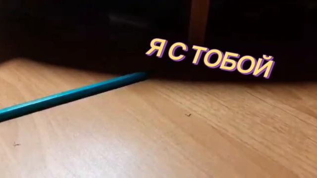 ЯЩЕРИЦА И МЯЧИК АНИМАЦИЯ смотреть онлайн