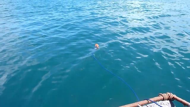 Акула1. Гансбай, ЮАР, 01.10.2014г. смотреть онлайн