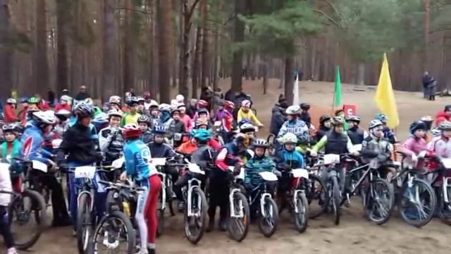 Золотые клёса Подмосковья 2015г