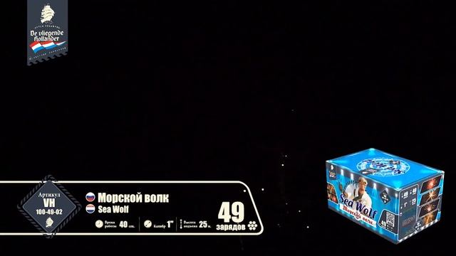 VH100-49-02 смотреть онлайн