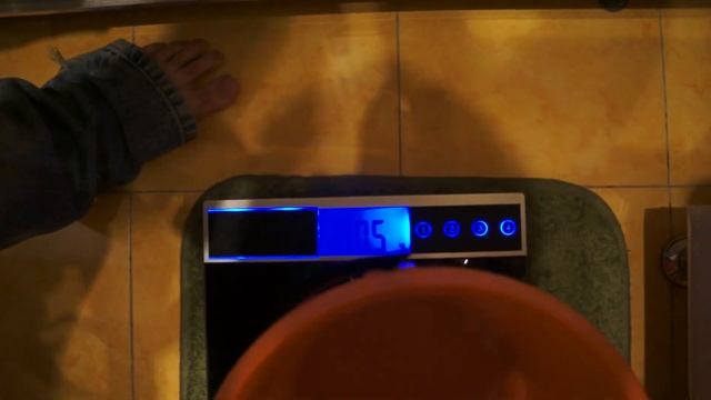 Опыт с силой архимеда смотреть онлайн