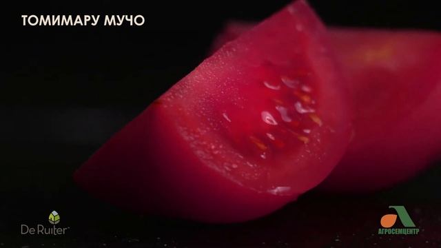 Томаты смотреть онлайн