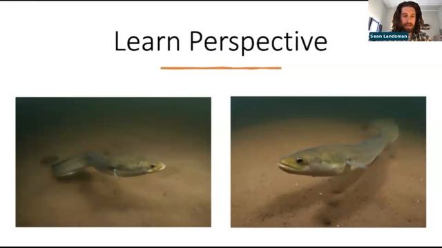 Fancy Cameras Not Required: A Webinar смотреть онлайн