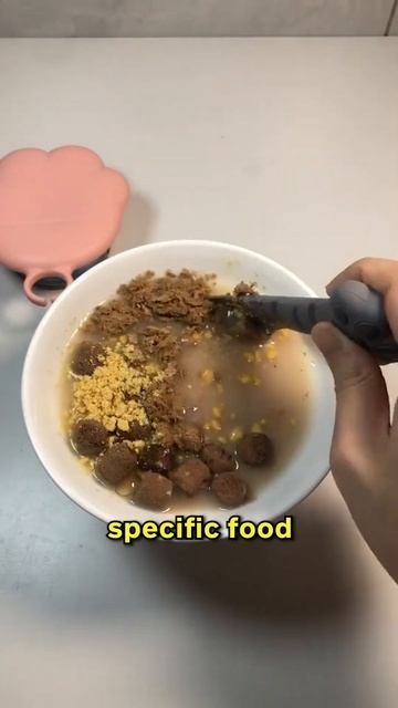 Never switch your cat's food abruptly! 😳😱 смотреть онлайн