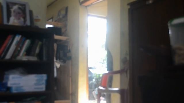 DE JAVU - 10 Besar Film Pendek EPSILON 2018 смотреть онлайн