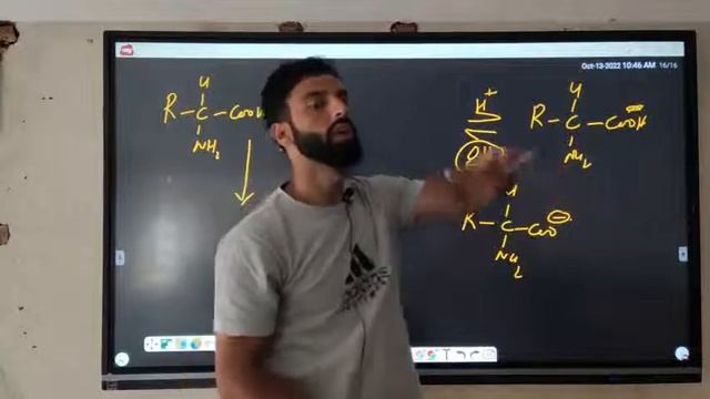 LEC 4: PROTEINS| Amino acids| Zwitter ion| Isoelectronic point (part 2)BSC# Clin Biochem# Eng. Chem смотреть онлайн