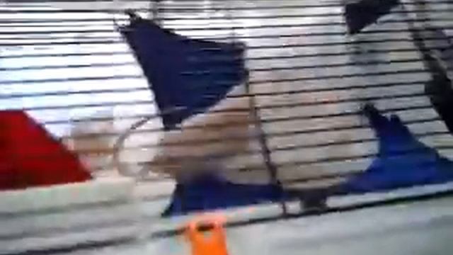 Мишелька и салфетки.mp4 смотреть онлайн
