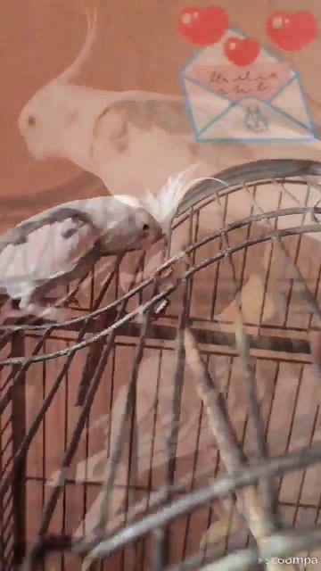 не скучали? А я скучал! 😍 смотреть онлайн