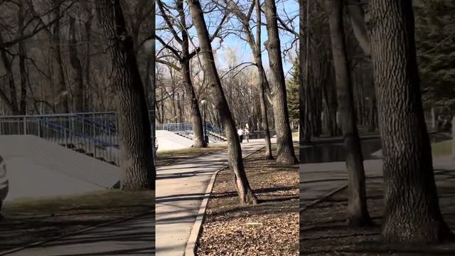 Гуляем по весеннему парку рядом с домом👌Еще не лето, но так красиво, птички поют, утки прилетели🌼 смотреть онлайн