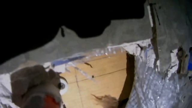 Есть ли косяк !? смотреть онлайн