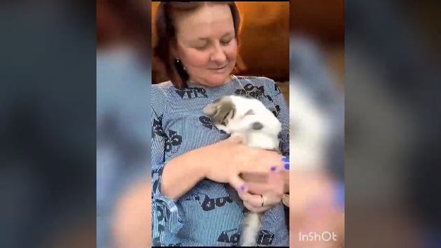 милой Гавроше нужен дом смотреть онлайн