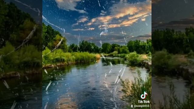 иволга поет над тростником смотреть онлайн