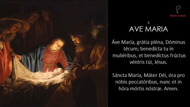 211 - Rosary in Latin (Joyful Mysteries) - For Grace to Feed the Hungry смотреть онлайн