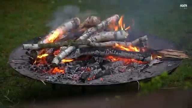 Iberico Bellota The most precious Pork in the World смотреть онлайн