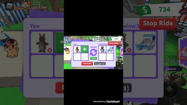 ИГРАЕМ В АДОПТМИ ПОЯВИЛАСЬ КЕНГУРУ РАЙД! ?😱 смотреть онлайн