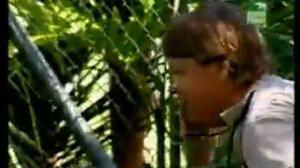 Стив Ирвин: Охотник за крокодилами. Специальный выпуск о гребнистых крокодилах