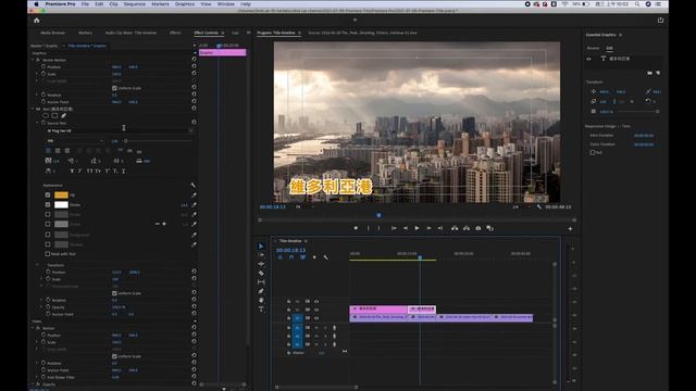 Adobe Premiere Pro CC 初學者入門教學: 影片加文字小技巧 ｜善用Option鍵｜加快剪片速度 (#廣東話）