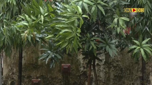 Cyclone Asani intensifies: Heavy rain lashes Kolkata, warning for 3 states смотреть онлайн