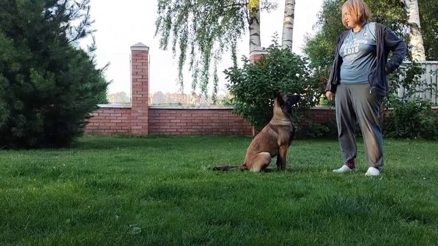 Тара стоп рука смотреть онлайн