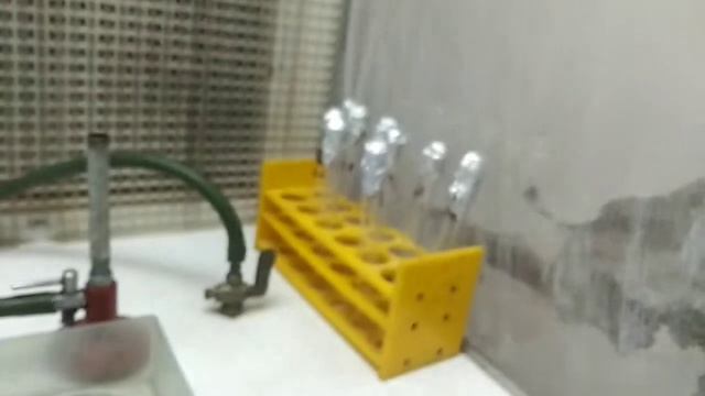 Antibiotic sensitivity test by disc diffusion method | kirby bauer disk diffusion method in hindi смотреть онлайн