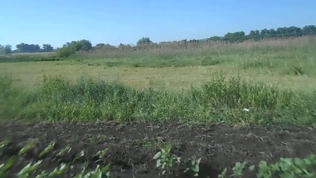 Ясон на огородах . 22.06.2018. смотреть онлайн