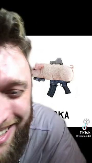 смешные животные из интернета 😂😂😂(кто это придумал ???) смотреть онлайн