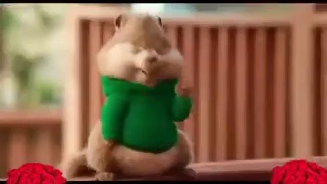 Бурундуки(9) смотреть онлайн