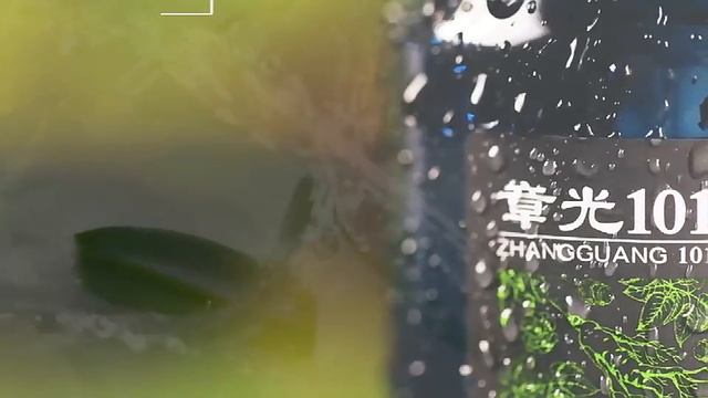 Zhangguang 101 Hair Thicking & Shedding Proof Shampoo