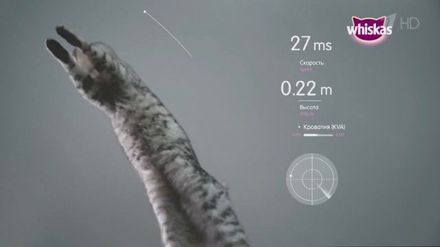 Реклама Whiskas | Вискас - "Посадка Whiskasна рейс" смотреть онлайн