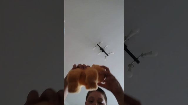 мини капибара смотреть онлайн