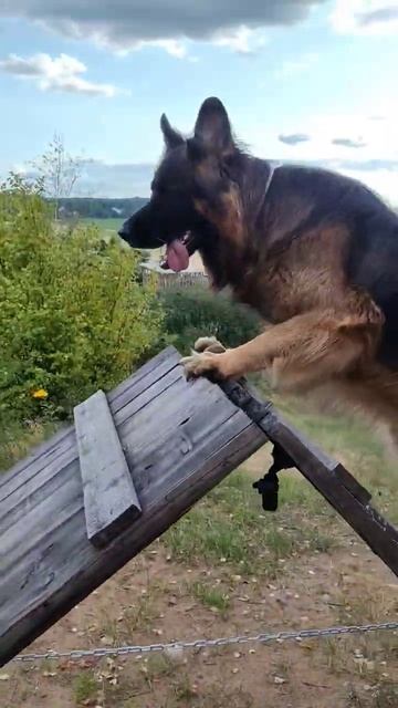 Горка вперёд - назад 🤗 смотреть онлайн