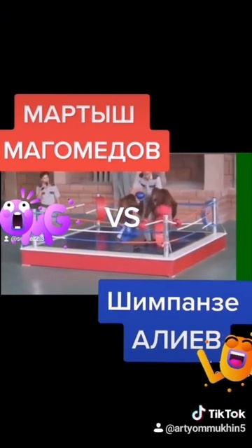 Мартыш Магомедов VS Шимпанзе алиев смотреть онлайн