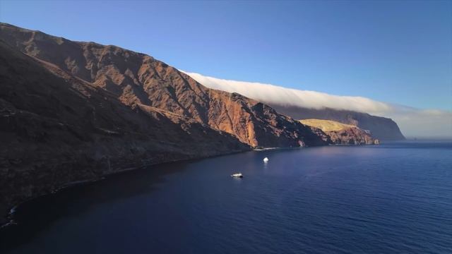 The Amazing Secret Lives Of Sharks | New Perspectives On An Ancient Predator | Real Wild смотреть онлайн