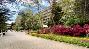 ПАНСИОНАТ БУРГАС. СОЧИ (Апрель) ЧАСТЬ2 ОБЗОР: ТЕРРИТОРИЯ, БАССЕЙН, КОРПУС 1, КОРПУС 2