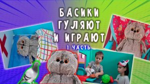ВЛОГ С БАСИКОМ / БАСИКИ ВЕСНОЙ / БАСИК В ИГРОВОЙ КОМНАТЕ