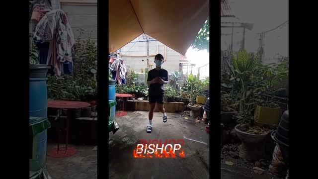 REGACHO CHESS MIMETICS смотреть онлайн